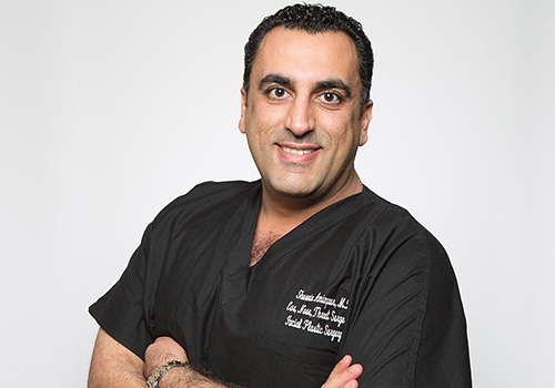 Dr. Aminpour